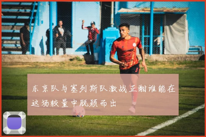 东京队与塞列斯队激战正酣谁能在这场较量中脱颖而出