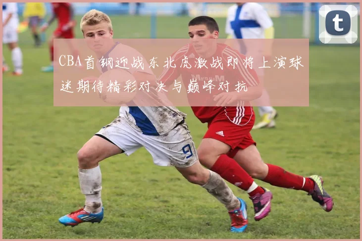 CBA首钢迎战东北虎激战即将上演球迷期待精彩对决与巅峰对抗